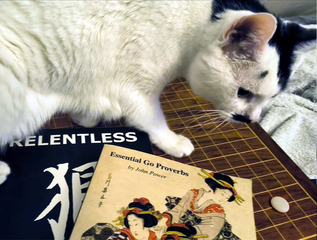 A white and black cat walking on a wooden Go board, next to two books: 'Relentless' and 'Essential Go Proverbs' by John Power.