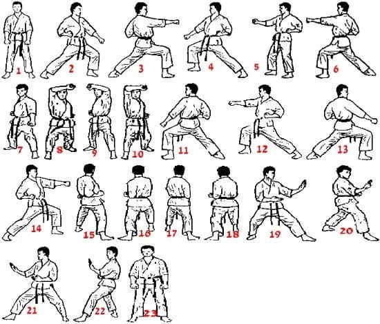 Step-by-step illustrations of a traditional karate kata sequence showing 23 movements performed solo, illustrating the concept behind the name KataGo