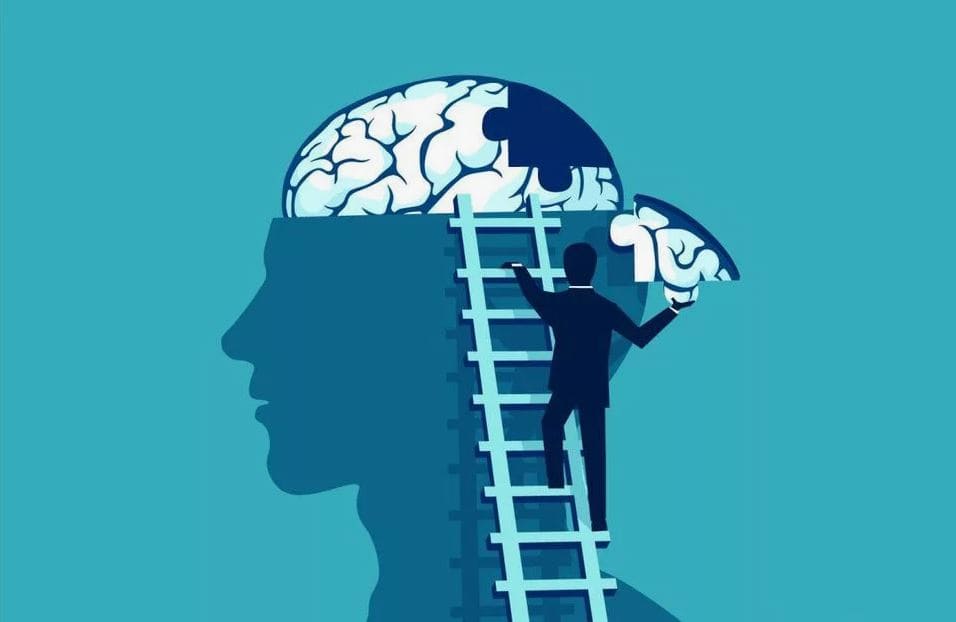 Illustration of a person climbing a ladder to access the brain, symbolizing emotional intelligence development.